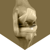 Meniscal Repair & Transplantation