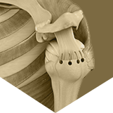 Arthroscopic Rotator Cuff Repair